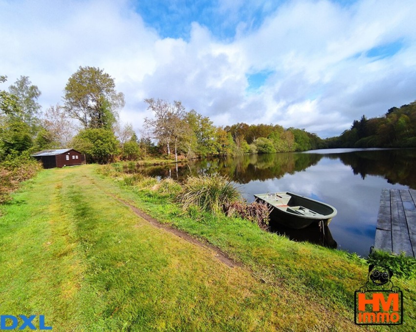 House with a 2 Ha fishing lake - Catfish